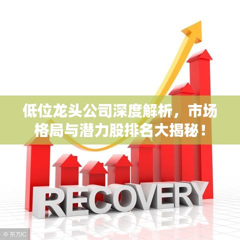 低位龙头公司深度解析，市场格局与潜力股排名大揭秘！