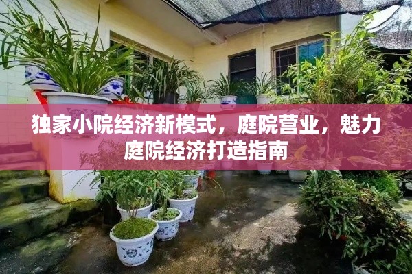 独家小院经济新模式，庭院营业，魅力庭院经济打造指南