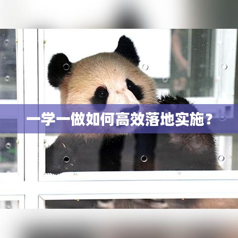 一学一做如何高效落地实施？