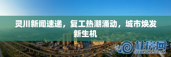 灵川新闻速递，复工热潮涌动，城市焕发新生机