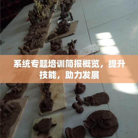 系统专题培训简报概览，提升技能，助力发展