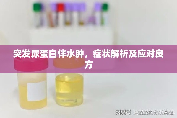突发尿蛋白伴水肿，症状解析及应对良方