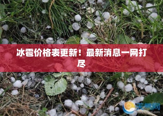 冰雹价格表更新！最新消息一网打尽