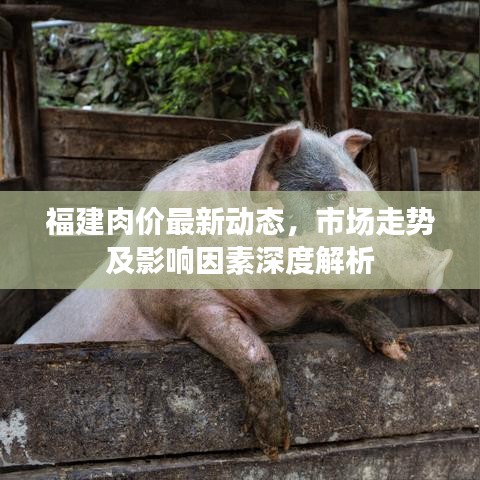 福建肉价最新动态，市场走势及影响因素深度解析