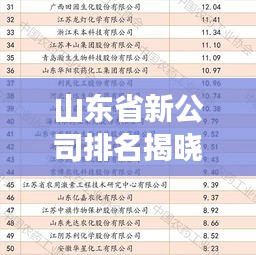 山东省新公司排名揭晓，行业分析助你洞悉发展态势！