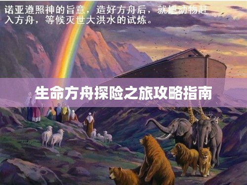 生命方舟探险之旅攻略指南