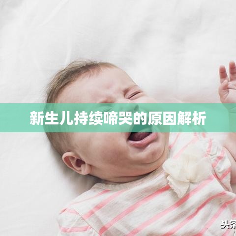 新生儿持续啼哭的原因解析