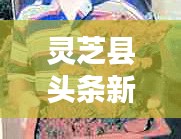 灵芝县头条新闻网，引领地方新闻风向，掌握最新资讯动态