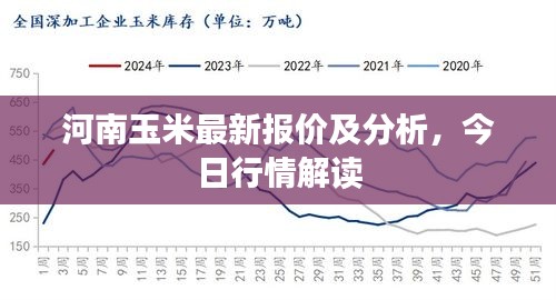 河南玉米最新报价及分析，今日行情解读