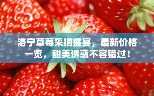 洛宁草莓采摘盛宴，最新价格一览，甜美诱惑不容错过！