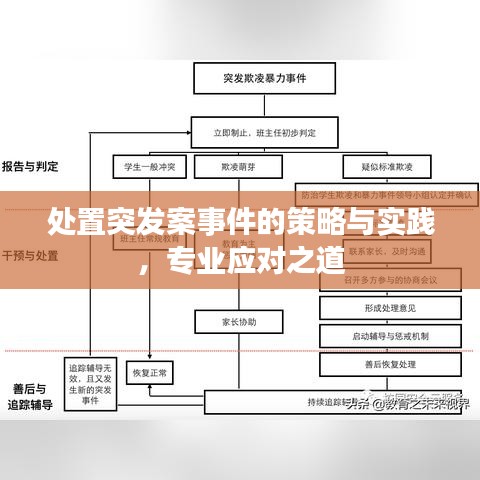 处置突发案事件的策略与实践，专业应对之道