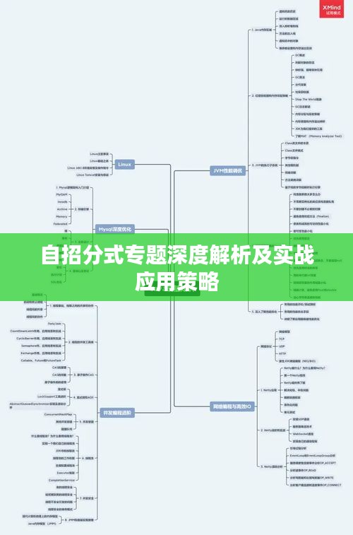自招分式专题深度解析及实战应用策略
