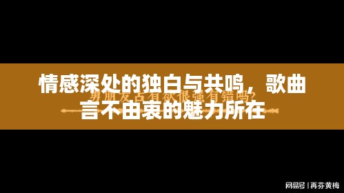 情感深处的独白与共鸣，歌曲言不由衷的魅力所在
