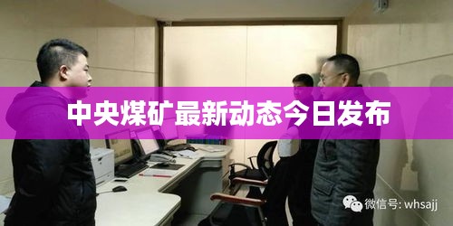 貌美如花
