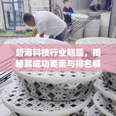碧海科技行业翘楚，揭秘其成功要素与排名解析