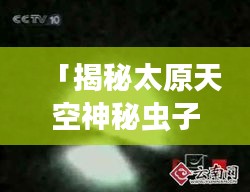 「揭秘太原天空神秘虫子事件，最新视频报道震撼登场」