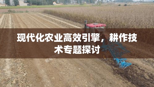 现代化农业高效引擎，耕作技术专题探讨