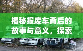 长安米贵