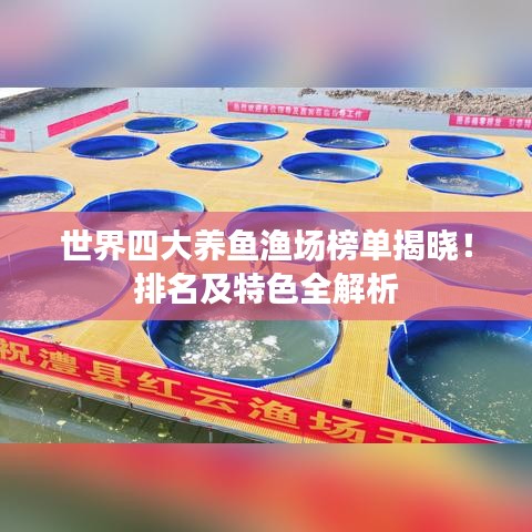 世界四大养鱼渔场榜单揭晓！排名及特色全解析