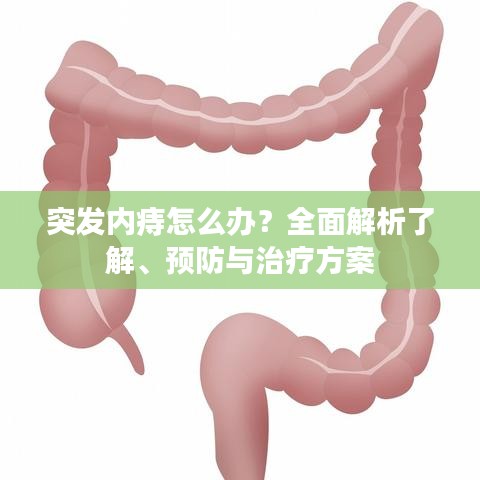 突发内痔怎么办？全面解析了解、预防与治疗方案