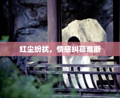 红尘纷扰，情感纠葛难断