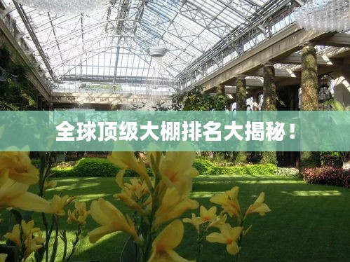 全球顶级大棚排名大揭秘！