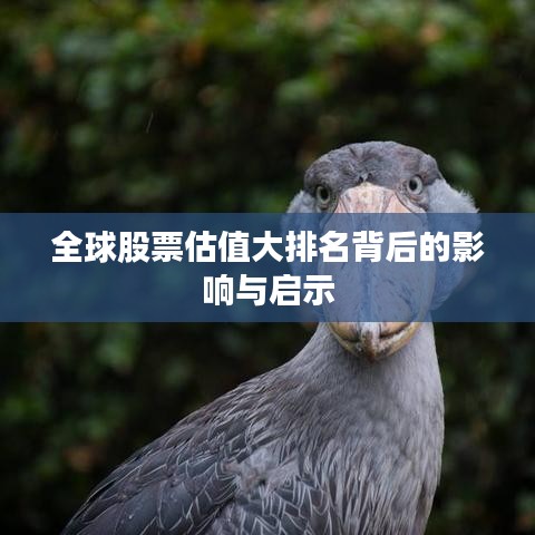 全球股票估值大排名背后的影响与启示