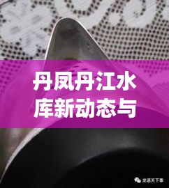 丹凤丹江水库新动态与地方发展亮点速递