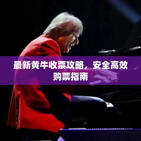 最新黄牛收票攻略，安全高效购票指南