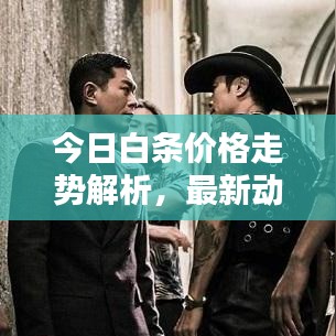 今日白条价格走势解析，最新动态一网打尽