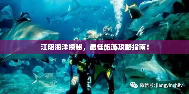 江阴海洋探秘，最佳旅游攻略指南！