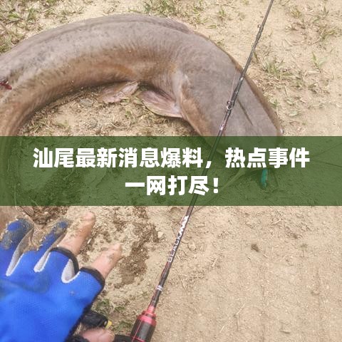 汕尾最新消息爆料，热点事件一网打尽！