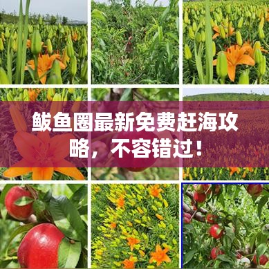 鲅鱼圈最新免费赶海攻略，不容错过！