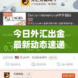 今日外汇出金最新动态速递！