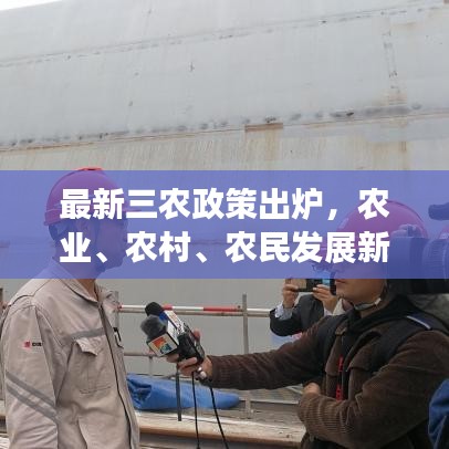 最新三农政策出炉，农业、农村、农民发展新篇章开启