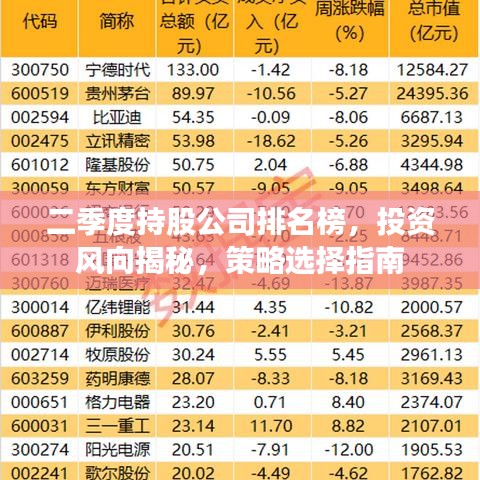 二季度持股公司排名榜，投资风向揭秘，策略选择指南