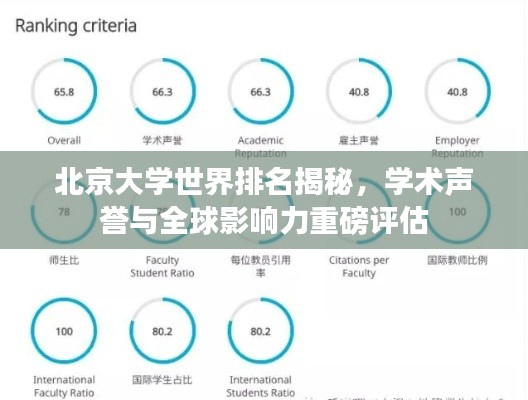 北京大学世界排名揭秘，学术声誉与全球影响力重磅评估