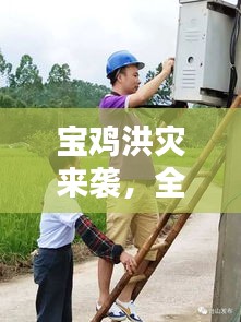 张冠李戴