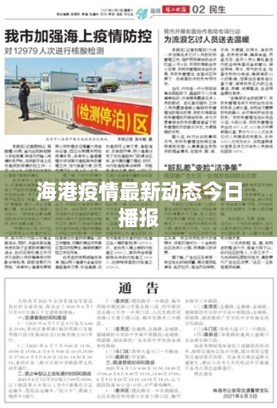 海港疫情最新动态今日播报