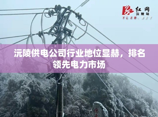 沅陵供电公司行业地位显赫，排名领先电力市场