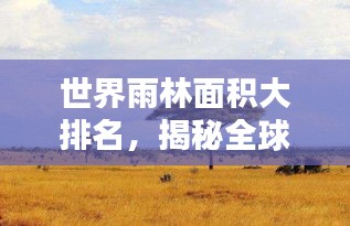 鸟集鳞萃