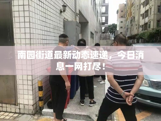 南园街道最新动态速递，今日消息一网打尽！