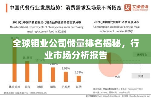 全球钼业公司储量排名揭秘，行业市场分析报告
