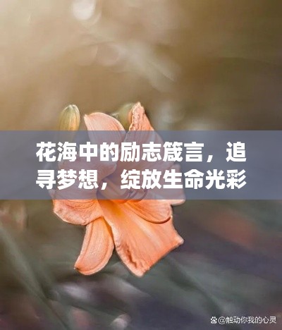 三人成虎
