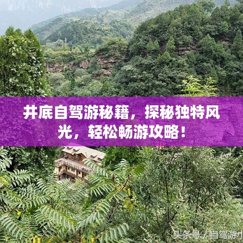 井底自驾游秘籍，探秘独特风光，轻松畅游攻略！