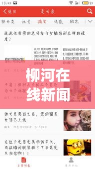 椎髻布衣