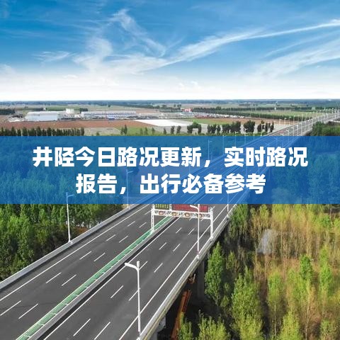 笨鸟先飞