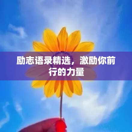 励志语录精选，激励你前行的力量