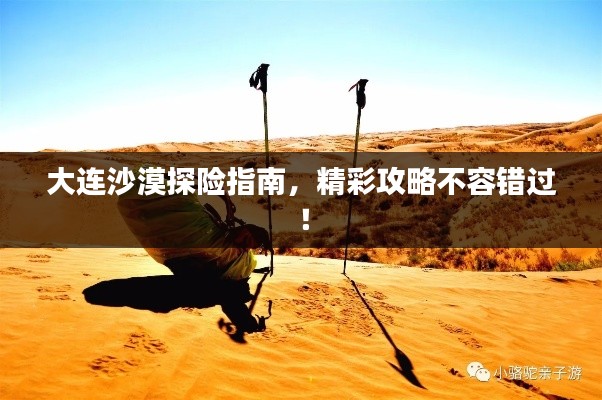 大连沙漠探险指南，精彩攻略不容错过！