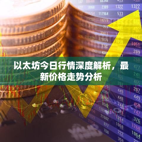 飞扬跋扈